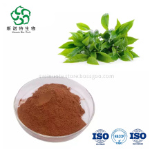 Best Price Green Tea Extract Tea Polyphenol Powder